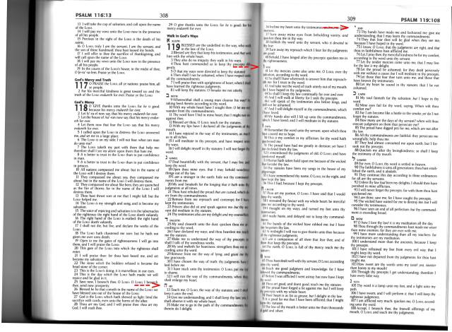 Psalm 119 in Authorized King James Bible--notice the Hebrew alphabet letters: JHVH NOT YHWH!!